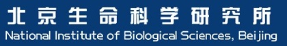 合作客户